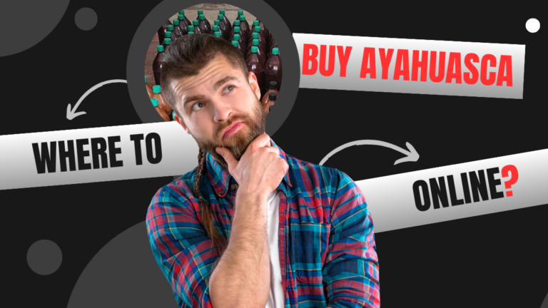 Alles, was Sie über den Online-Kaufvertrag wissen müssen