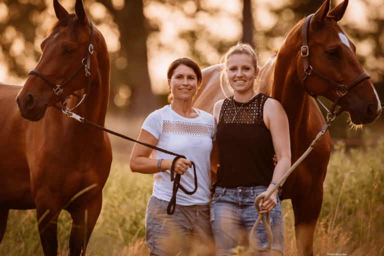 Der perfekte Kaufvertrag für Pferde: Rechtliche Sicherheit beim Pferdekauf