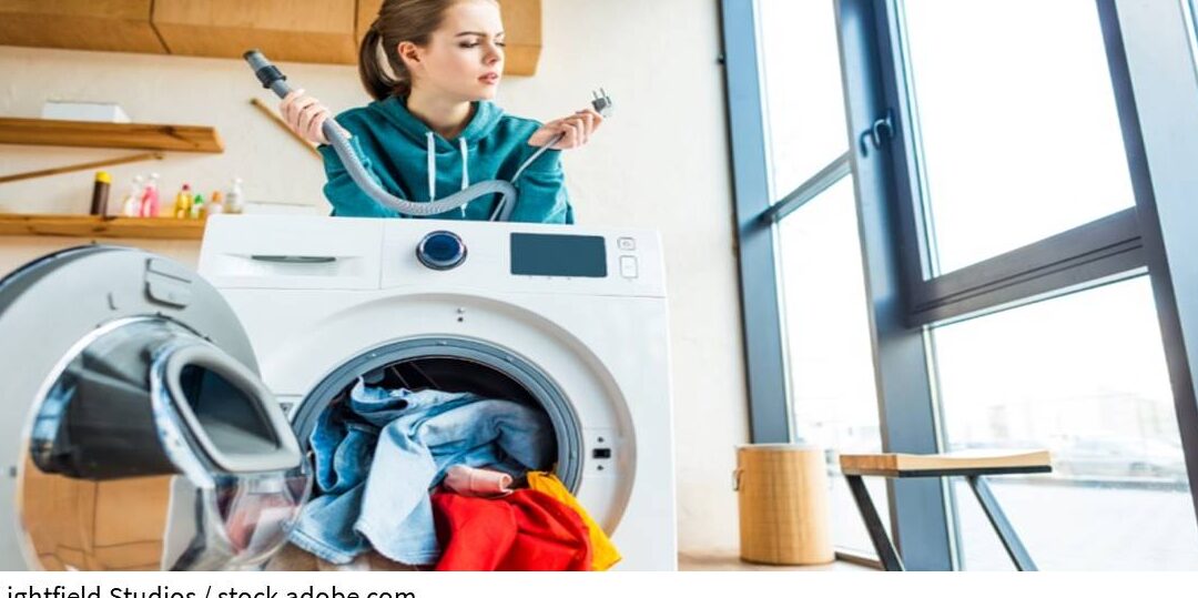 Ratgeber: So schließen Sie einen Kaufvertrag für eine Katze privat ab