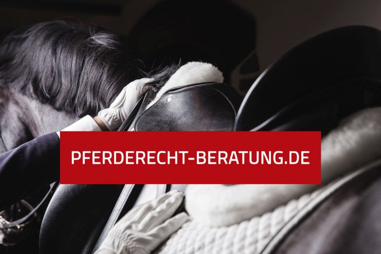 Tipps für den erfolgreichen Kaufvertrag eines Pferdes von privat